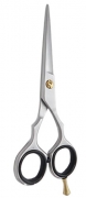 Barber Scissors