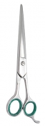 Barber Scissors