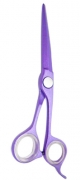 Barber Scissors