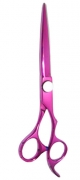 Barber Scissors
