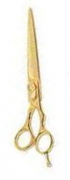 Barber Scissors