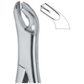 Extracting Forceps American Pattern