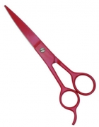 Pet Grooming Scissors